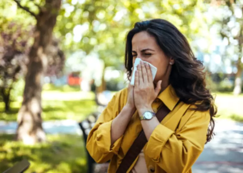 Toronto Sees Explosion of Pollen This Allergy Season: Here's Why