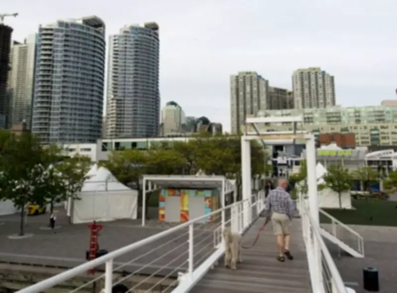 Toronto's Amsterdam Bridge Reopens After $1M Rehabilitation