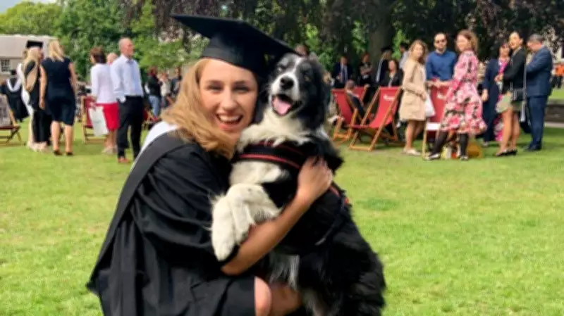 Traveling Europe with My Senior Dog: A Love Story of Adventure and Care