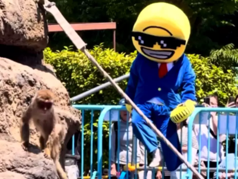Two Americans Arrested After Stunt at Baby Monkey Punch's Zoo in Japan
