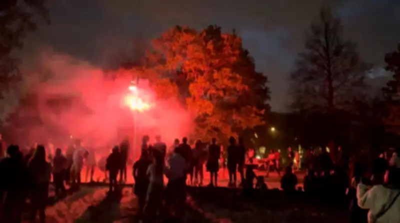 Two Arrested for Shooting Fireworks at Crowds in Toronto on Victoria Day