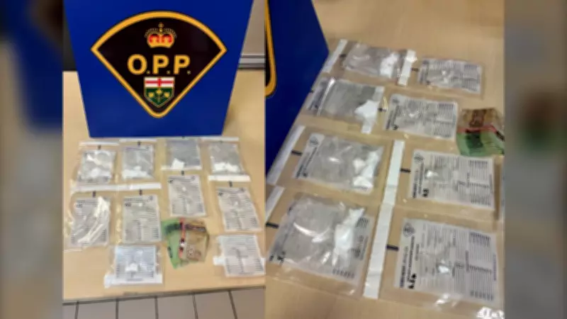 Two face drug charges after northern Ontario traffic stop