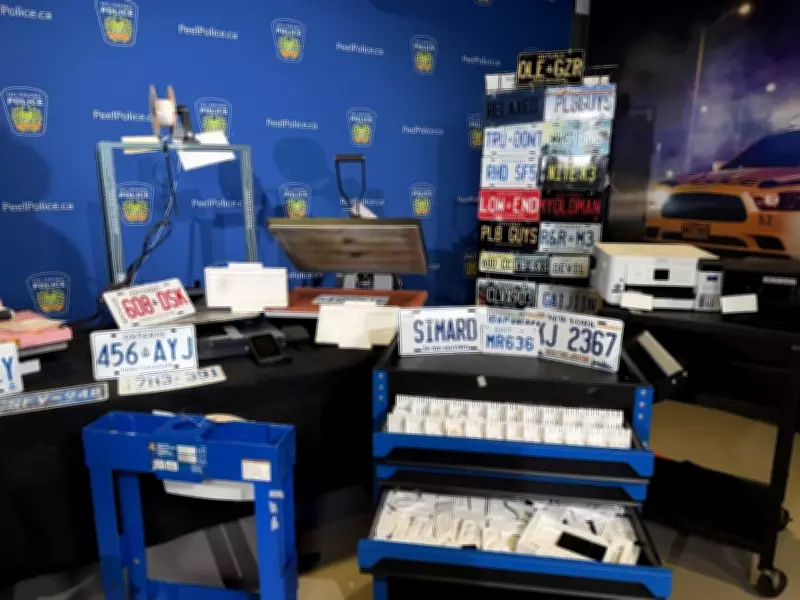 Two Hamilton Brothers Accused of Running Online Counterfeit Licence Plate Ring