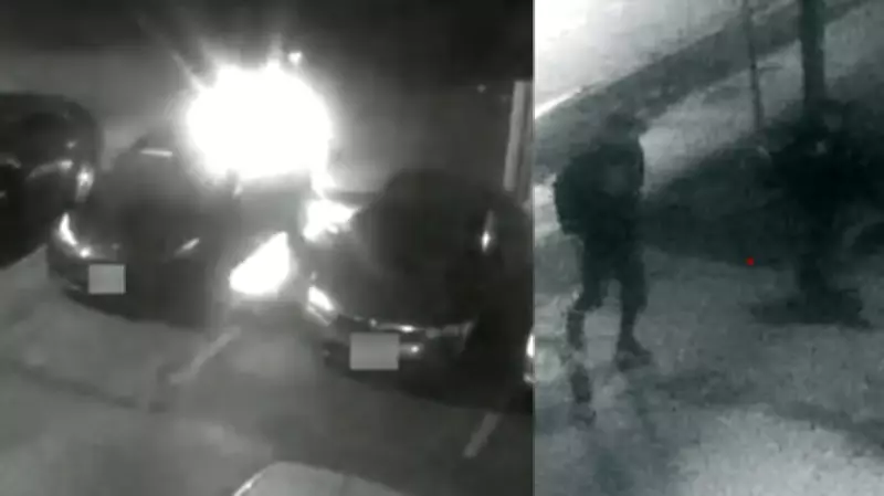 Two Suspects Caught on Camera Setting Vehicle on Fire in North York