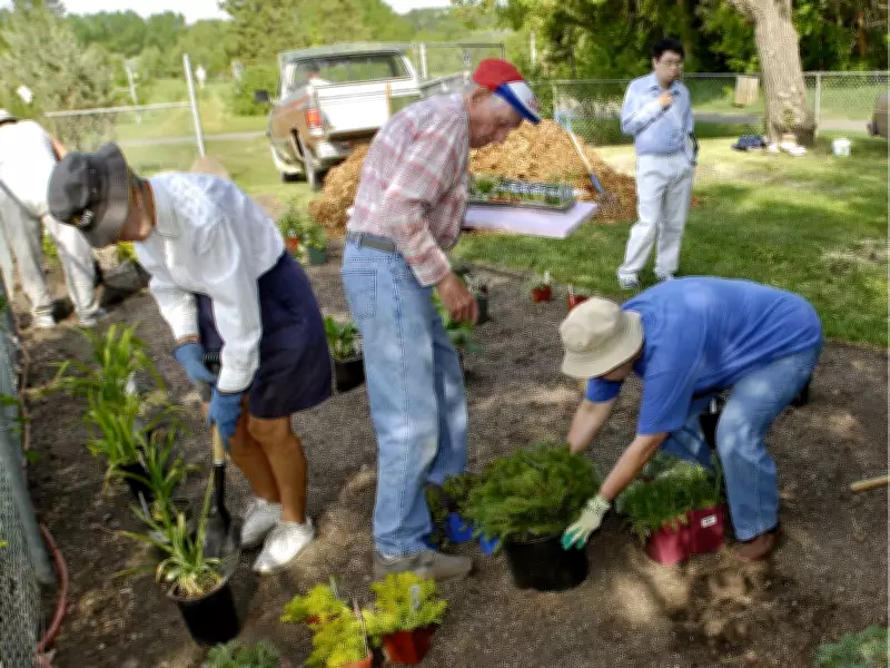 Understanding Xeriscaping: Water-Wise Gardening Explained
