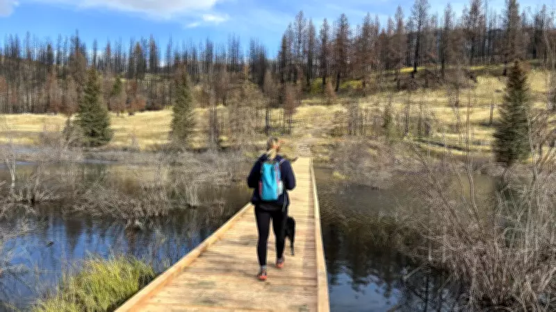 Valley of the Five Lakes Trail in Jasper National Park to Reopen After Wildfire