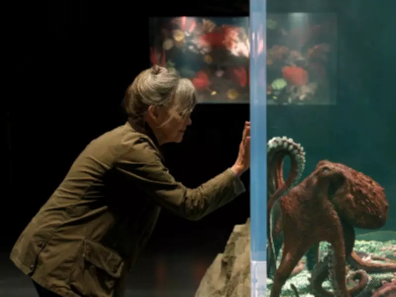 Vancouver Aquarium Octopus Inspires New Netflix Film 'Remarkably Bright Creatures'