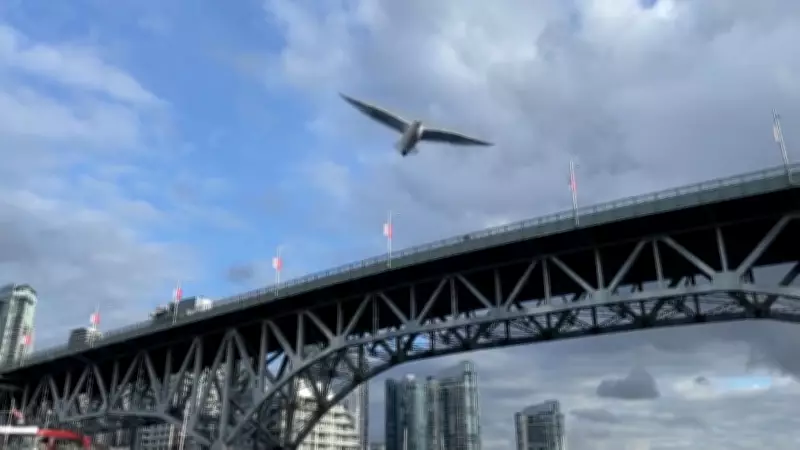 Vancouver Council Reprioritizes Granville Bridge Suicide Fence Funding