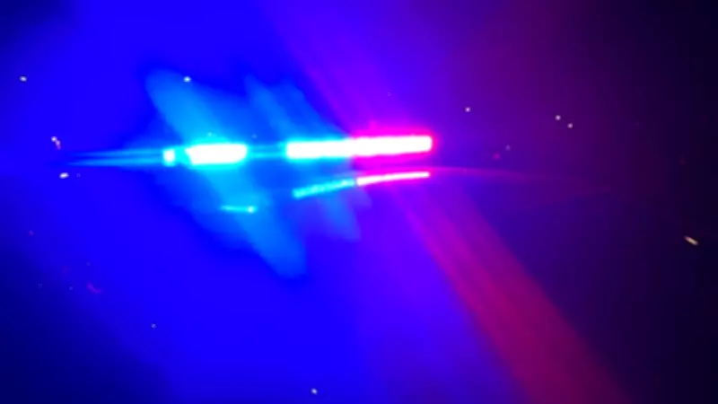Vancouver Police Break Into Van After Autistic Teen Crashes During Attempted Drive