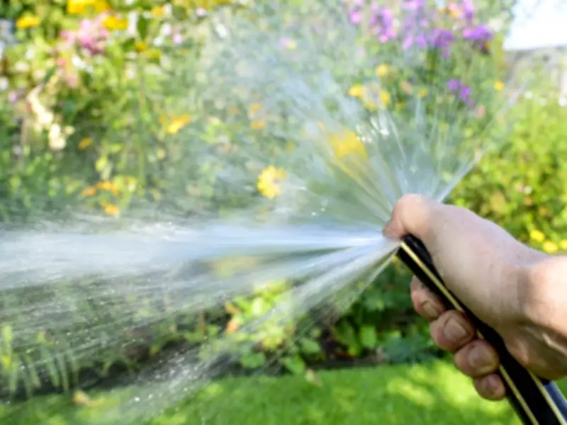 Water-Thrifty Plants and Efficient Watering for Drought Gardens