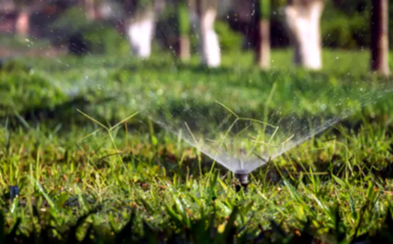 Waterloo Region Reinstates Summer Water Conservation Rules