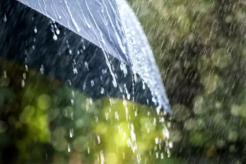 Weather Alerts Issued in New Brunswick: Significant Rainfall Until Thursday