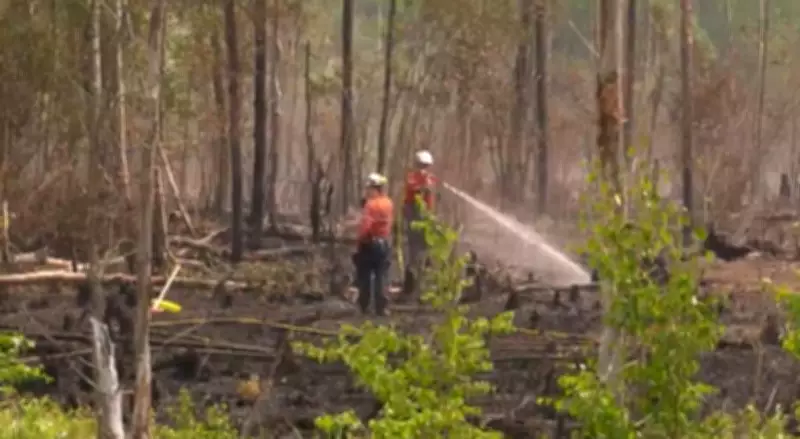 Weather Conditions Ripen Saskatchewan for Wildfire Season