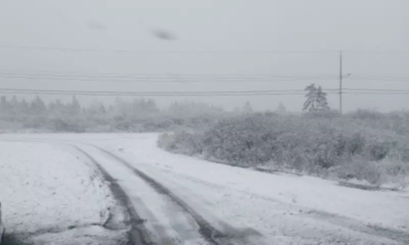 Weather Whiplash: Maritimes Brace for Snow to Sun Swing This Week