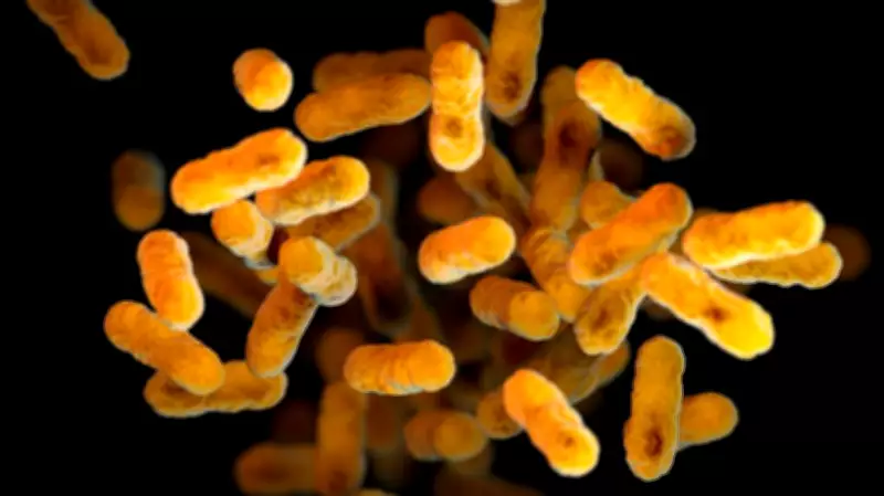 Whooping Cough Exposure at Prince Albert Hospital: SHA Details Released