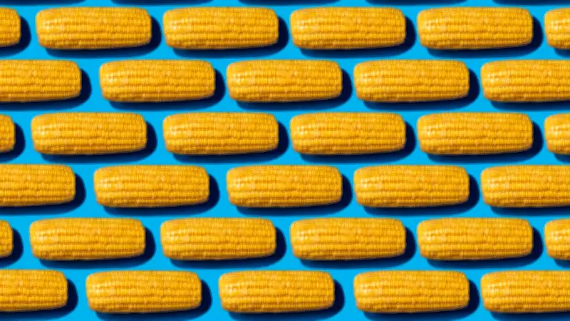 Why Corn Appears Whole in Stool: Doctors Explain the Science