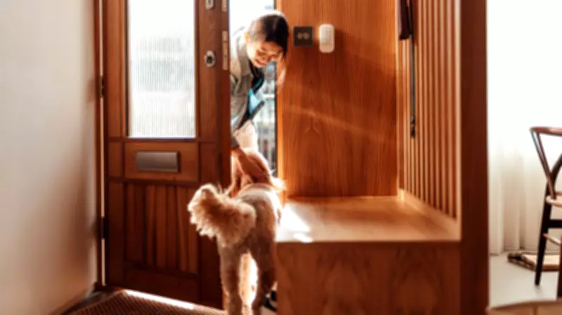 Why Some Dogs Feel FOMO When You Leave: Vet-Approved Solutions