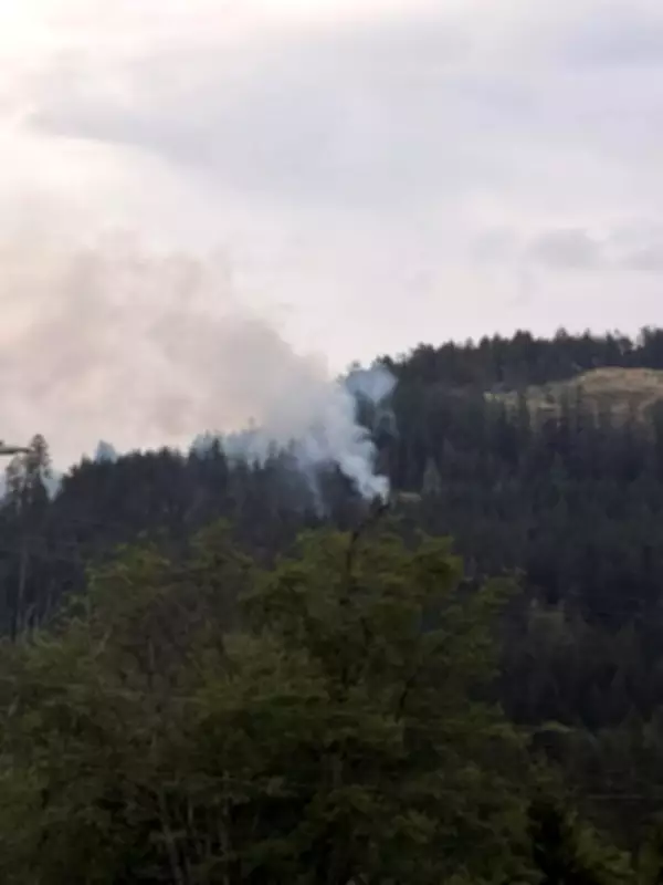Wildfire Near Port Alberni Forces Emergency Operations Centre Activation