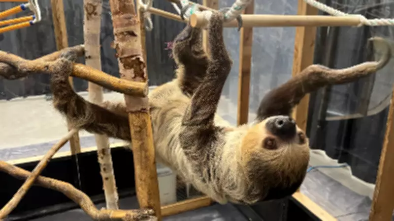 Wildlife Festival in Regina Showcases Over 50 Exotic Animals This Weekend