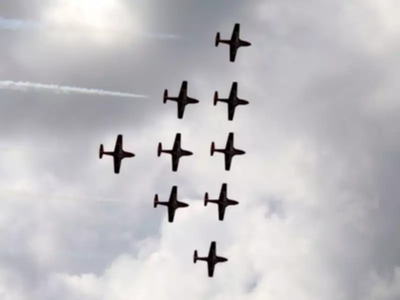 Will Canada Buy New Aircraft for the Snowbirds? Government Update Expected May 19