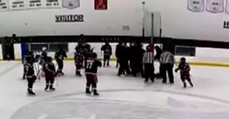 Windsor Hockey Coach in U13 Game Fight Returns to Bench as Assistant