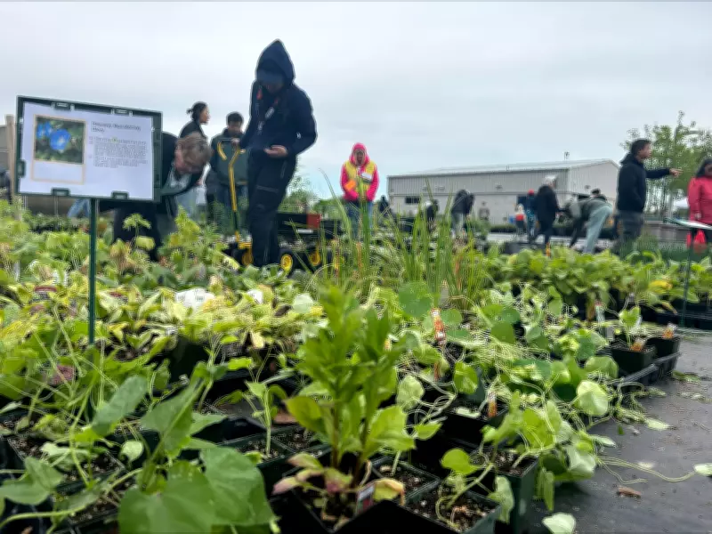 Windsor Hosts Annual Plant Sale This Weekend for Green Thumbs