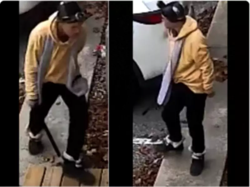 Windsor Police Seek Public's Help in Three Property Damage Incidents