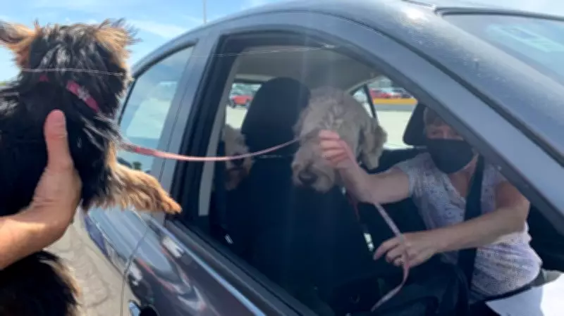 Windsor WECHS Drive-Thru Pet Microchip Clinic Returns for 2026
