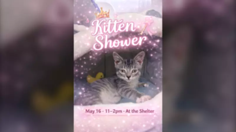 Windsor/Essex Humane Society Hosts Annual Kitten Shower Event