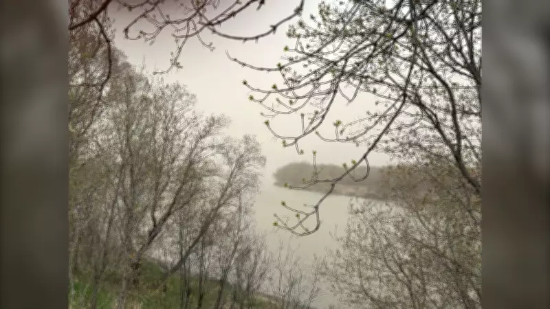 Windy Weather Persists in Southwestern Manitoba This Weekend