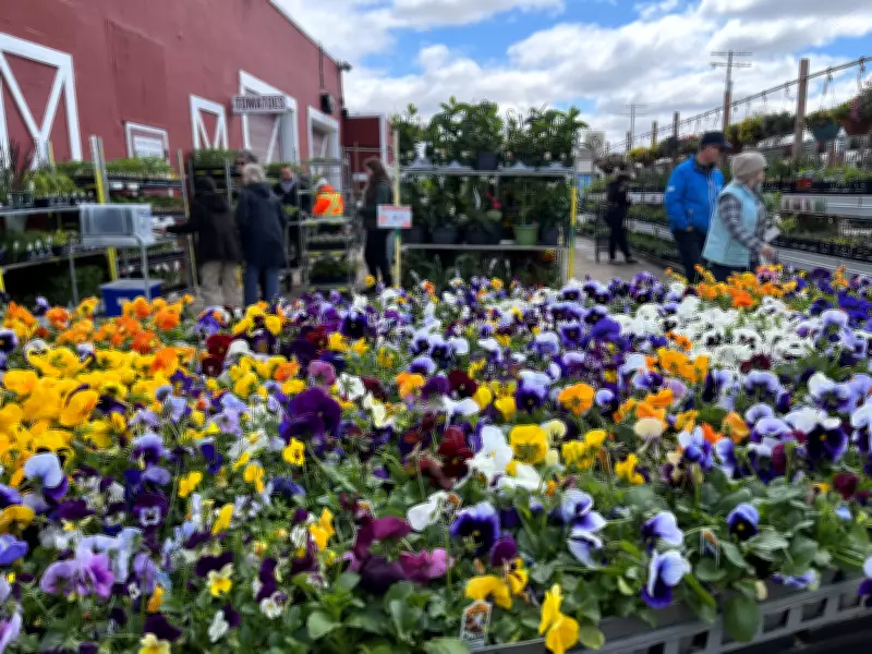 Winnipeg Garden Centres Cut Seasonal Staff Amid Slow Demand