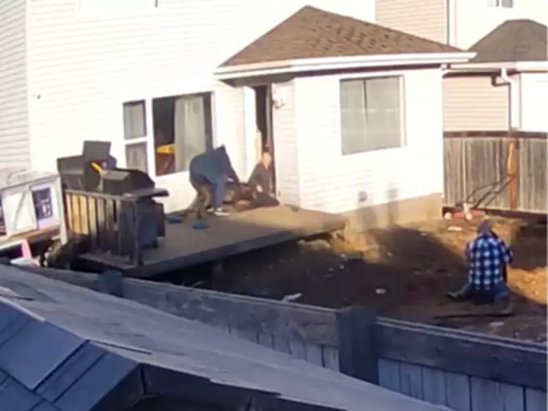 Woman Testifies She Opposed Boy Visiting Before Fatal Dog Attack