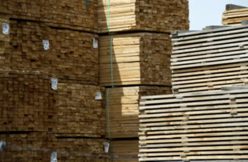 Workplace death leads to penalty for northern Alberta forestry firm