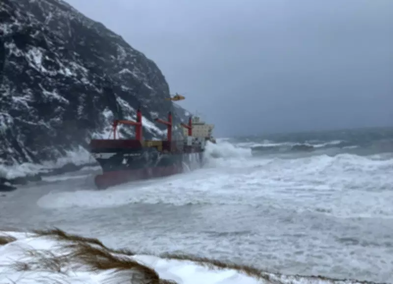 Wreck Removal Begins for Decaying Ship Aground off Newfoundland