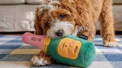18 Brilliant Mother’s Day Gifts for Dog Moms
