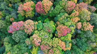 Barrie Mayor Advances Protection of Conservation Lands