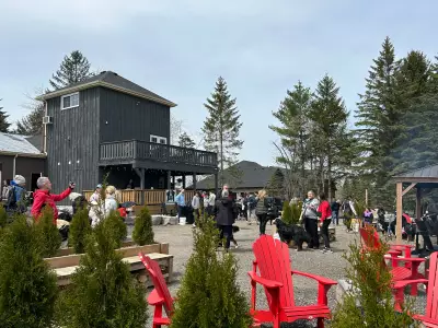 Bernese Mountain Dog Owners Gather for Community Walk in Guelph