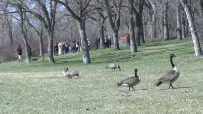 Bird Enthusiasts Flock to Saskatchewan Science Centre for World Migratory Bird Day