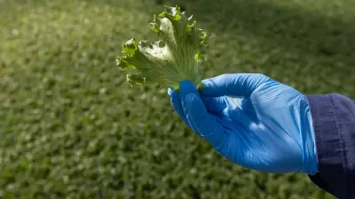 Canadian Entrepreneur Builds $50M Automated Greenhouse to End U.S. Lettuce Monopoly