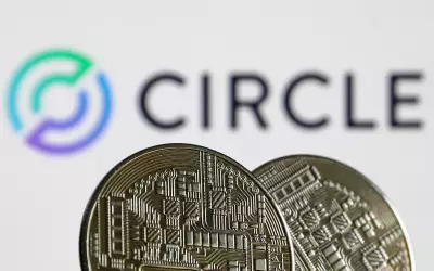 Circle revenue rises as stablecoin demand grows amid market volatility