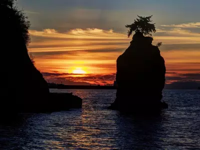 Grey Whale Struck by Jet Ski Near Vancouver's Siwash Rock