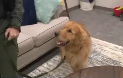 K-9 Scooby Sniffs Out Hidden Evidence in Internet Crimes Against Children