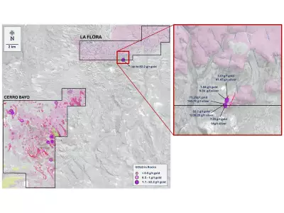 Latin Metals Receives US$250,000 Payment from Daura Gold, Provides Drilling Update