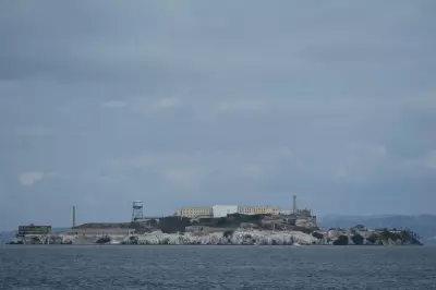 Male coyote swam over 3 km to Alcatraz Island, surprising biologists