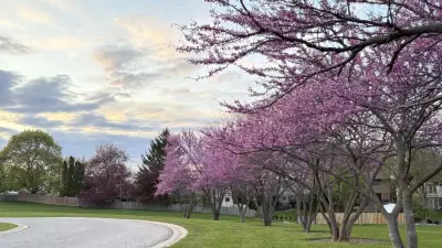 Mixed Skies and Warmer Temperatures Ahead This Weekend in London