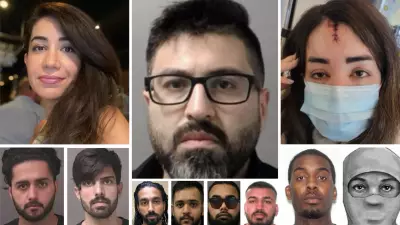 Mohamad Lilo Beats Murder Charge, Takes Plea Deal in Elnaz Hajtamiri Case