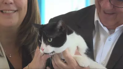 Montreal Opens New One-Stop Animal Shelter for Homeless Pets