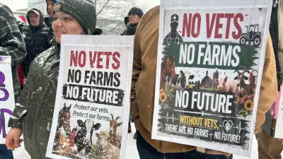N.B. Extends Vet Services to March After Meeting with Agricultural Alliance