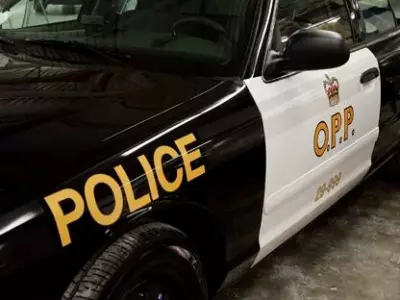 OPP Investigate After Bullet Found on School Grounds in Palmerston