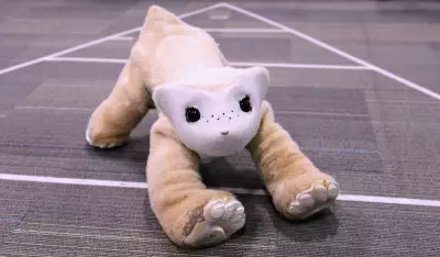 Roomba pioneer targets household market with AI pet robot